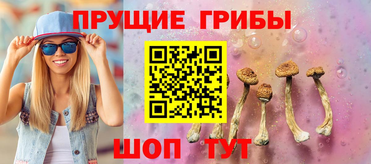 Галлюциногенные грибы прущие грибы Аргун